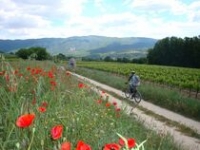 Itinéraire VTT à Caseneuve