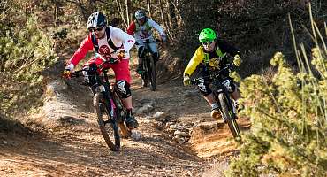 Circuit VTT n°54 - Tour du Colorado