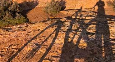 Circuit VTT n°51 - Entre ocres, vignes et forêt