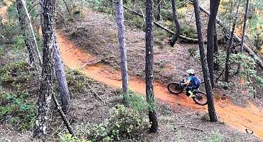 Circuit VTT n°51 - Entre ocres, vignes et forêt