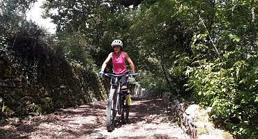 Circuit VTT n°61 - Les Plaines de Provence