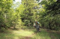 Parcours VTT Saint-Etienne-les-Orgues