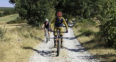 Circuit VTT n°8 - Promenade au Bois du Défend