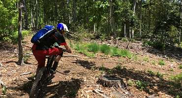 Parcours Enduro n°12 - Montagne de Lure