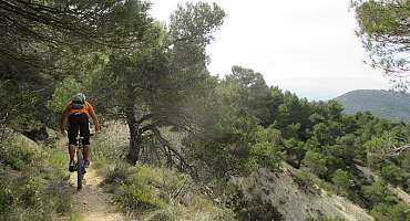 Circuit VTT n°31 - De l'étang de La Bonde au sentier géole