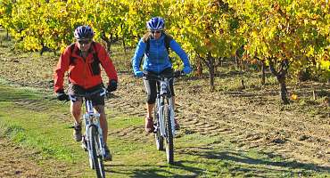 Circuit VTT n°29 - Petit tour de l'Eze