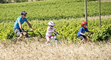 Circuit VTT n°27 - Petit tour de La Tour