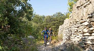 Circuit VTT n°43 - De la cédraie à la Croix de Lagnes