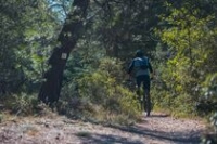 Parcours VTT Cabrières d'Avignon