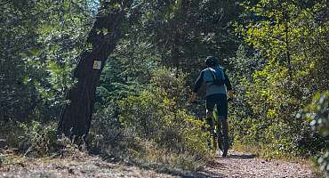 Rando Vaucluse - Cabrières d’avignon – De la cédraie à la croix de Lagnes 