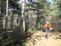 Parcours VTT Manosque - Foret de pelissier