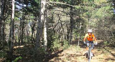 Circuit VTT n°21 - Forêt de Pélissier