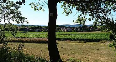 Circuit VTT n°40 - Ubac du Petit Luberon