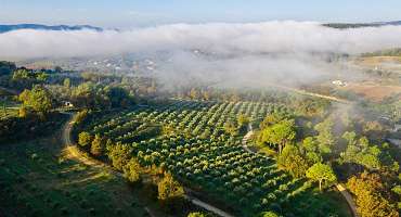 Domaine Bastide du Laval