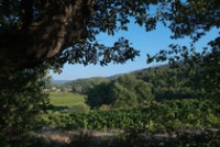 Domaine de la Royère Domaine de la Royère