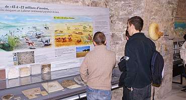 Musée de Géologie de la Maison du Parc du Luberon