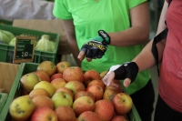 Unis Verts Paysans - Pommes locales - Luberon Unis Verts Paysans - Pommes locales - Luberon