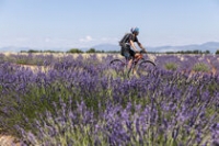 Valensole Valensole