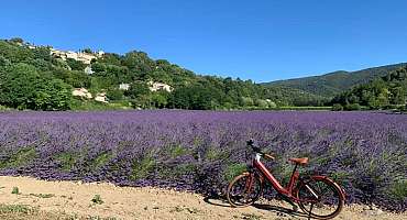 Stations Bee's - Location de vélos électriques à Robion