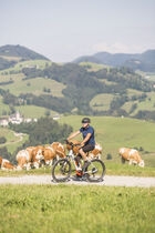 Location E-Bike04 Location E-Bike04