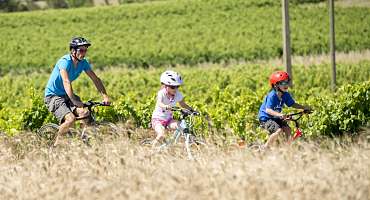 Rando Vaucluse - Parcours VTT 27 et 28 Petit tour de la Tour / Escapade dans les vignes 