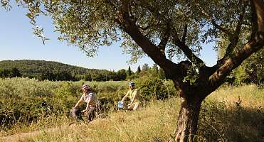 Der Luberon mit dem Fahrrad