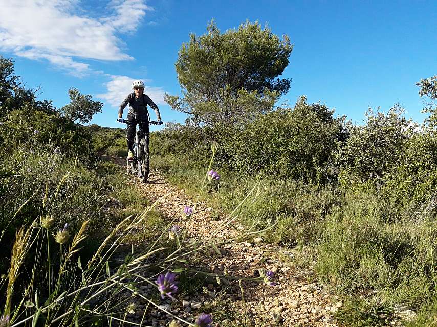 Rando Vaucluse - Parcours VTT le col de Murs