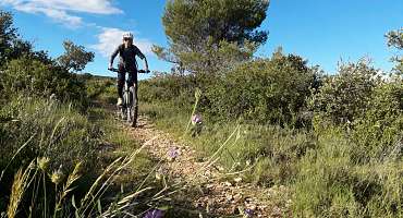 Rando Vaucluse - Parcours VTT  le col de Murs 