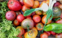 Les Granges légumes du jardin