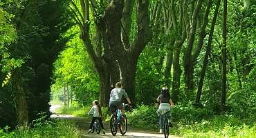 Rando Vaucluse - Balade à vélo familiale entre Apt et Céreste