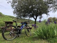 La Haute-Provence à Vélo