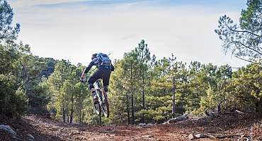 MTB-FFC-Bereich Provence Verdon - Rennstrecke 49: Montmeyan