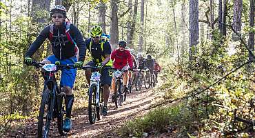 Espace VTT-FFC Provence Verdon - Circuit n°44 : Artignosc