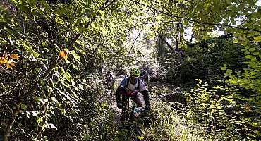 Site VTT FFC - Provence Verdon - Circuit Vert - Montagnac - EN