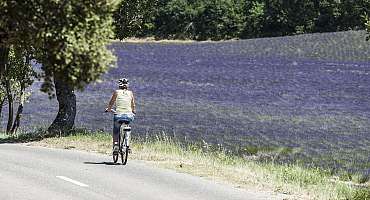 VTT - FFC Provence Verdon - Schaltung 38: Valensole 2