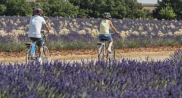 Site VTT FFC - Provence Verdon - Circuit Vert - Valensole - EN