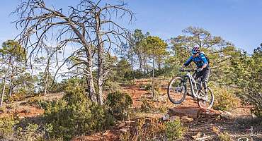 Site VTT FFC - Provence Verdon - Circuit Bleu - Valensole - EN