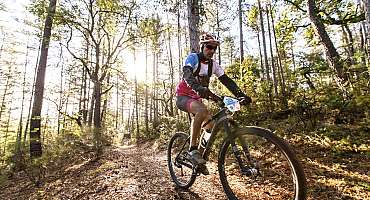 Espace VTT-FFC Provence Verdon - Circuit n°34 : Allemagne-en-Provence