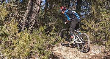 Espace VTT-FFC Provence Verdon - Circuit n°27 : Riez