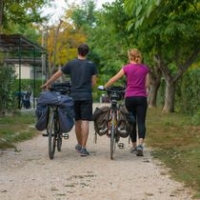 Camping de l'étang de la Bonde Camping de l'étang de la Bonde