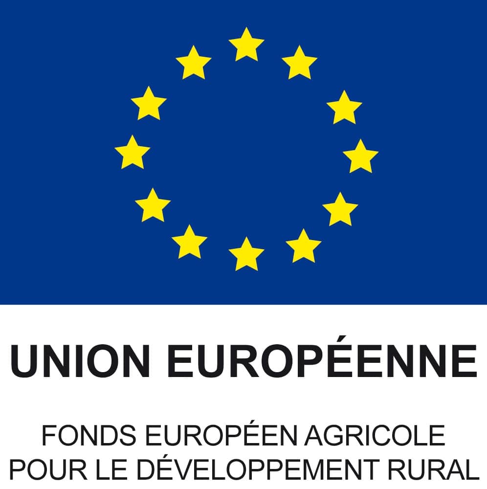 LOGO FOND EUROPEEN