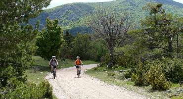 MTB-FFC-Bereich Von Sources bis Gorges du Verdon - MTB-Schleife n°10: The Forks