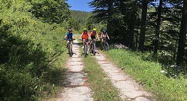 Espace VTT-FFC - Des Sources aux Gorges du Verdon - Circuit n°9 : Le village d'Angles