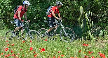 Espace VTT-FFC - Des Sources aux Gorges du Verdon - Circuit n°8 : Le Plan de Saint-André-les-Alpes