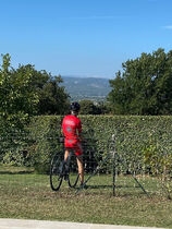 Les Grenaches de l'Ara Les Grenaches de l'Ara