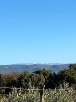 Les Grenaches de l'Ara Les Grenaches de l'Ara