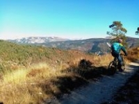 IMG_20201106_194146 IMG_20201106_194146