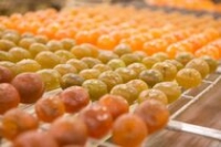 Maison du Fruit Confit Maison du Fruit Confit